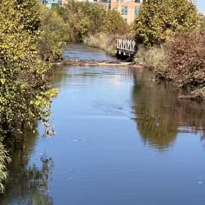 Upjohn Playground/Park - Kalamazoo,
