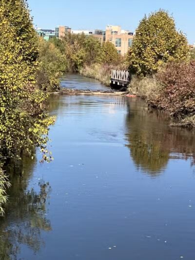 Upjohn Playground/Park - Kalamazoo,