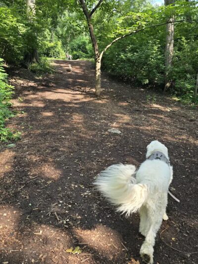 Swope Dog Park - Kansas City, MO