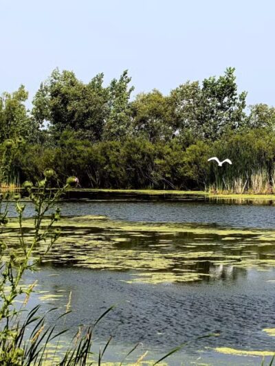 Kaukauna Dog Park - Kaukauna, WI