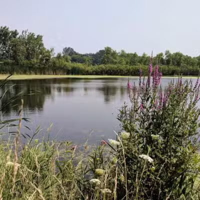 Kaukauna Dog Park - Kaukauna, WI