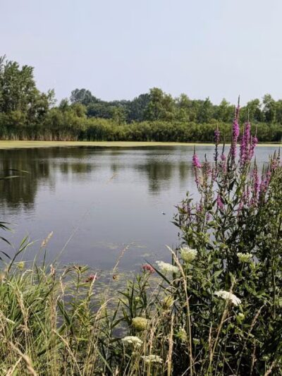 Kaukauna Dog Park - Kaukauna, WI