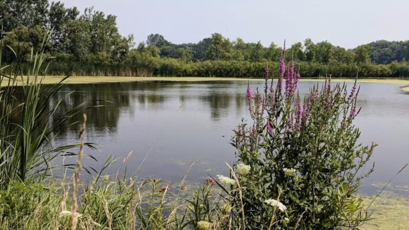 Kaukauna Dog Park - Kaukauna, WI