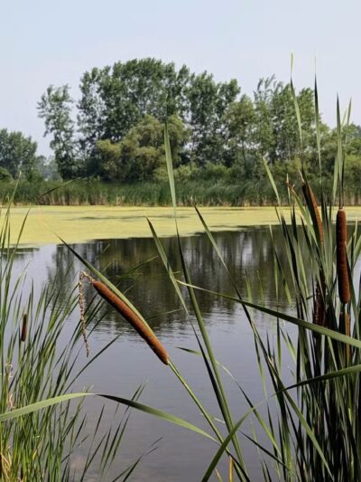 Kaukauna Dog Park - Kaukauna, WI