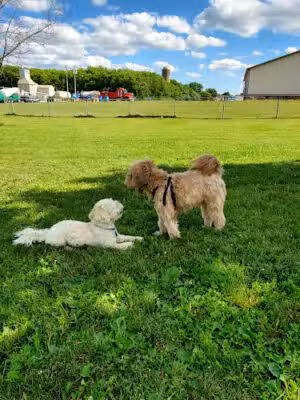 Kaukauna Dog Park - Kaukauna, WI