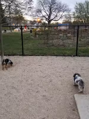 Kearny Dog Park - Kearny, NJ