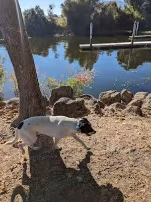 Lakeside Park | Lake County Parks - Kelseyville, CA