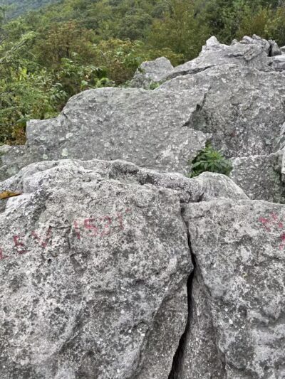 Hawk Mountain Sanctuary - Kempton, PA