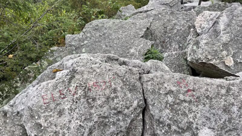 Hawk Mountain Sanctuary - Kempton, PA