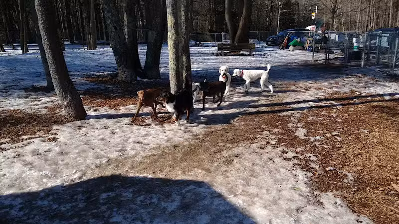 Kennebunk Dog Park - Kennebunk, ME