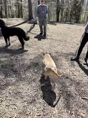 Meadow Woods Preserve Off Leash Dog Area - Kennebunkport, ME