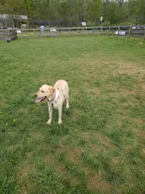 Barkingfield Park - Kennett Square, PA