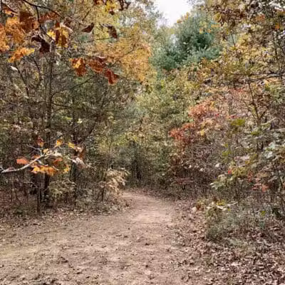 Howard Christensen Nature Center - Kent City,