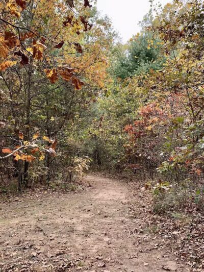 Howard Christensen Nature Center - Kent City,
