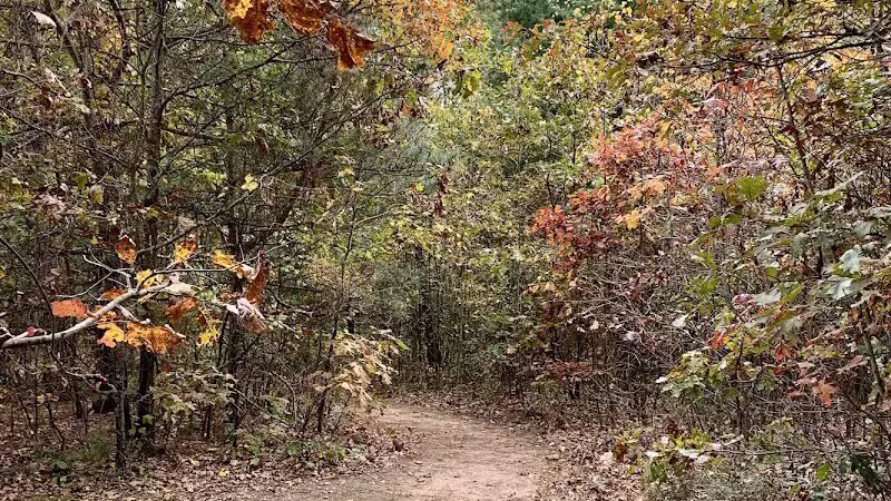 Howard Christensen Nature Center - Kent City,