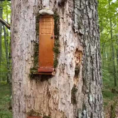 Howard Christensen Nature Center - Kent City,