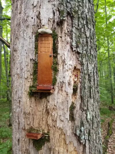Howard Christensen Nature Center - Kent City,