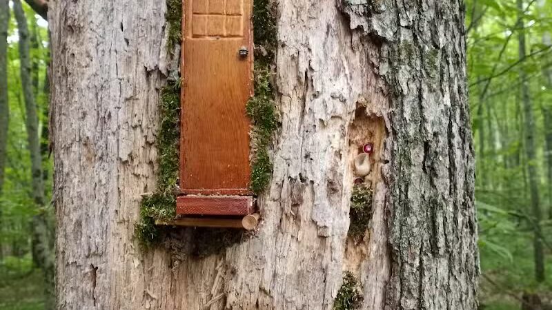 Howard Christensen Nature Center - Kent City,