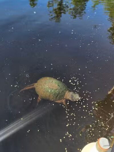 Howard Christensen Nature Center - Kent City,