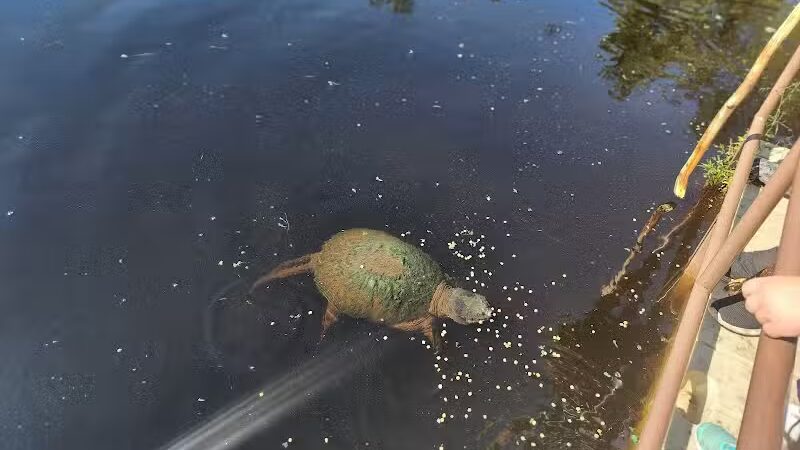 Howard Christensen Nature Center - Kent City,