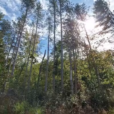 Howard Christensen Nature Center - Kent City,