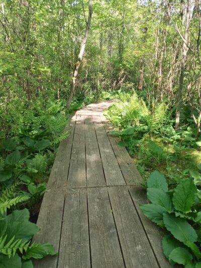 Howard Christensen Nature Center - Kent City,