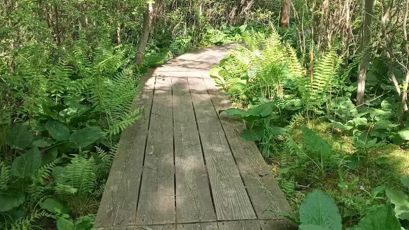 Howard Christensen Nature Center - Kent City,