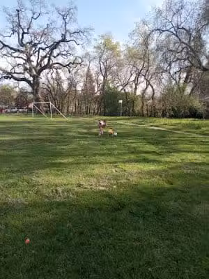 Shaw Park - Kenwood, CA