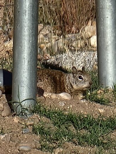 Riverside Park - Kernville, CA