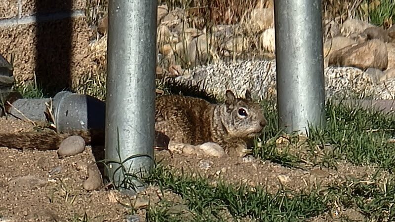 Riverside Park - Kernville, CA