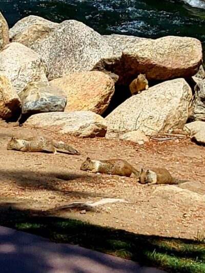 Riverside Park - Kernville, CA