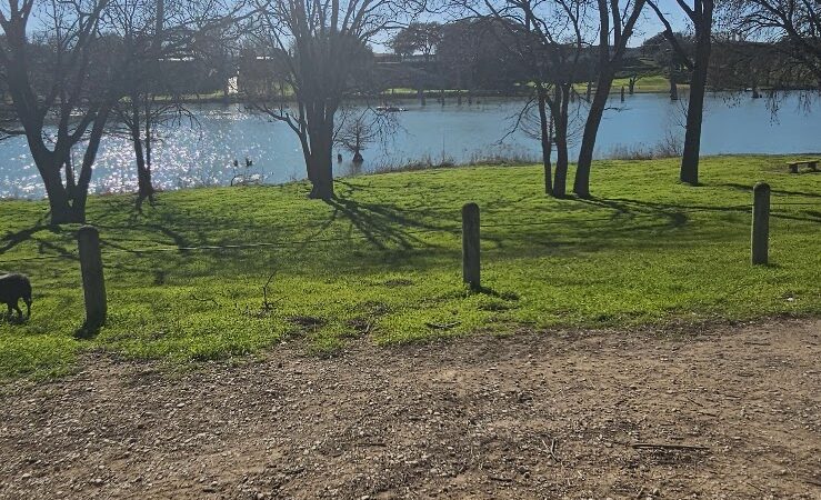 Flat Rock Park Dog Run - Kerrville, TX