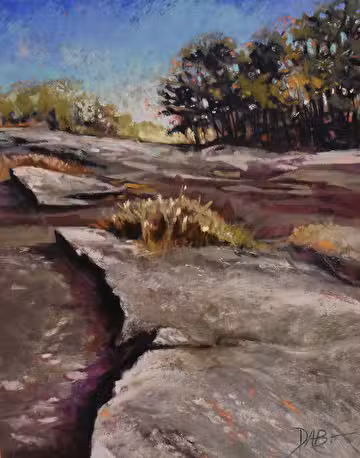 40 Acre Rock Heritage Preserve - Kershaw, SC