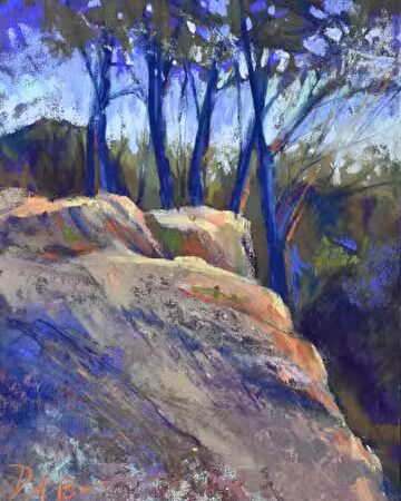 40 Acre Rock Heritage Preserve - Kershaw, SC