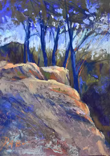 40 Acre Rock Heritage Preserve - Kershaw, SC