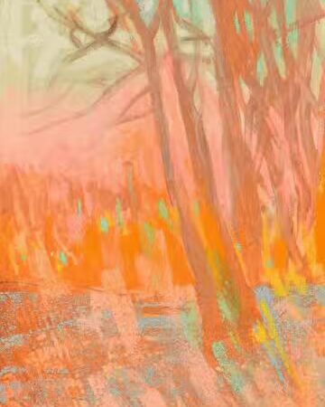 40 Acre Rock Heritage Preserve - Kershaw, SC