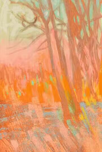 40 Acre Rock Heritage Preserve - Kershaw, SC