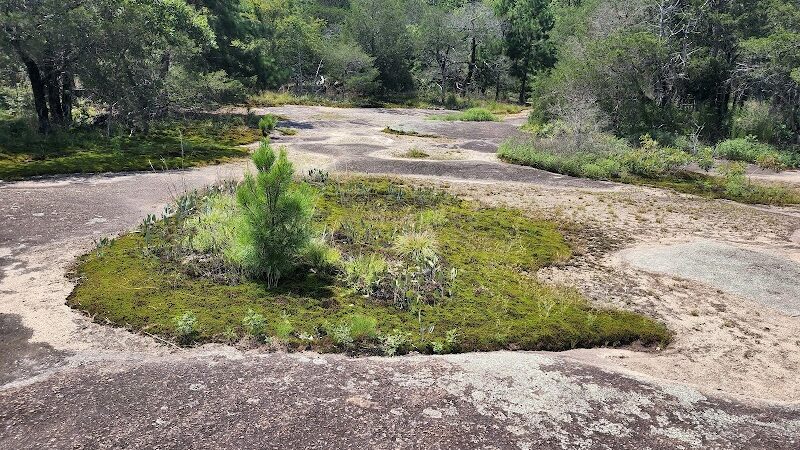40 Acre Rock Heritage Preserve - Kershaw, SC