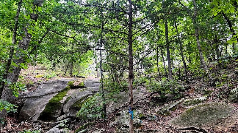 40 Acre Rock Heritage Preserve - Kershaw, SC