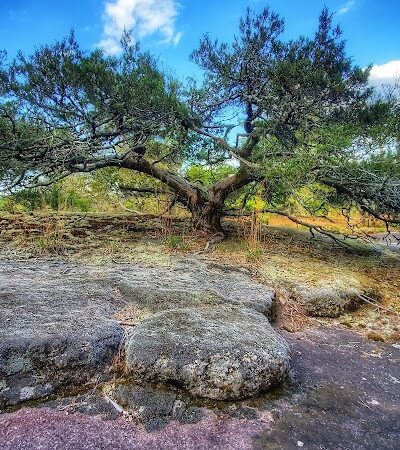 40 Acre Rock Heritage Preserve - Kershaw, SC