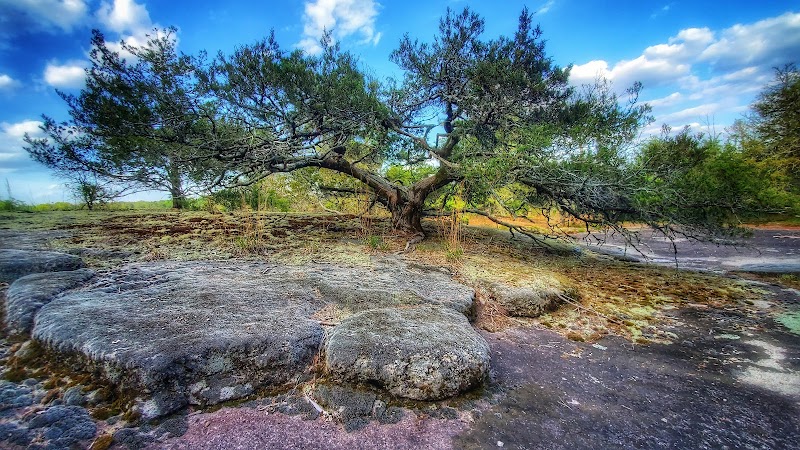 40 Acre Rock Heritage Preserve - Kershaw, SC