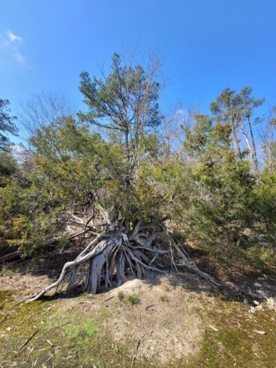 40 Acre Rock Heritage Preserve - Kershaw, SC
