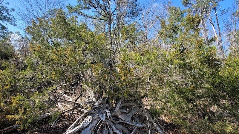 40 Acre Rock Heritage Preserve - Kershaw, SC