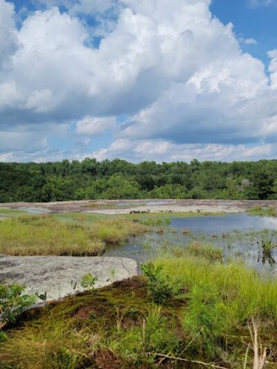 40 Acre Rock Heritage Preserve - Kershaw, SC