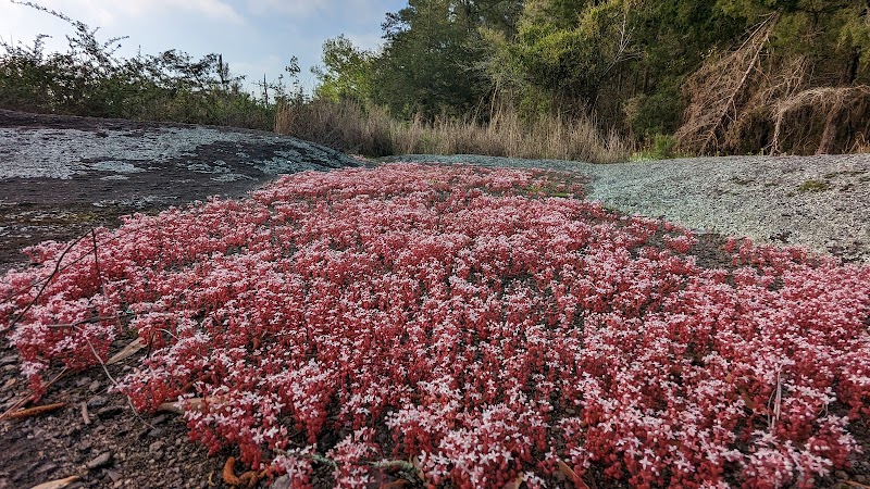 40 Acre Rock Heritage Preserve - Kershaw, SC