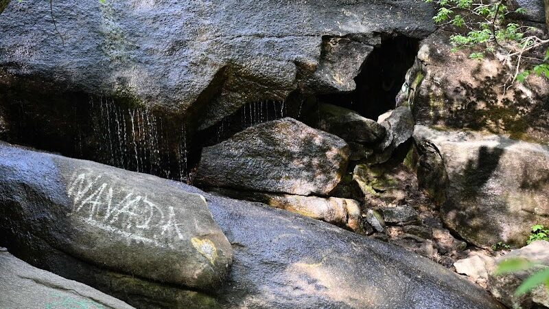 40 Acre Rock Heritage Preserve - Kershaw, SC