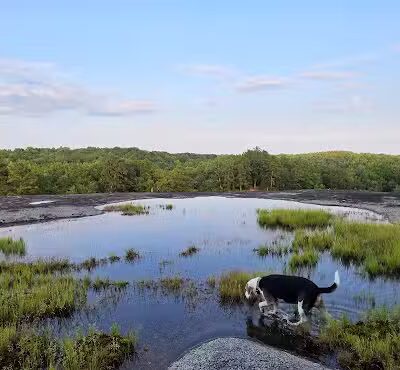 40 Acre Rock Heritage Preserve - Kershaw, SC