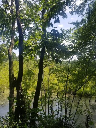 40 Acre Rock Lower Parking - Kershaw, SC