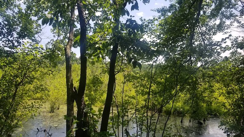 40 Acre Rock Lower Parking - Kershaw, SC