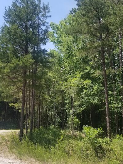 40 Acre Rock Lower Parking - Kershaw, SC